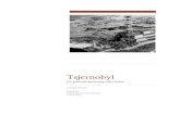 Tsjernobyl opgemaakte versie - Zinzoeking€¦ · Tsjernobyl ii Inleiding Dit werkstuk gaat over de ergste kernramp in de geschiedenis van de aarde. Die gebeurde in Tsjernobyl, een