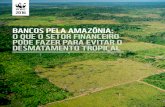 BANCOS PELA AMAZÔNIA: O QUE O SETOR FINANCEIRO …...desmatamento e da degradação florestal na região. Em anos recentes, a dinâmica do desmatamento no bioma Amazônia tem apresentado