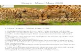 Kenya - Masai Mara 2020 - Fröstad Naturfoto · 2019-07-16 · Kenya - Masai Mara 2020 I fokus: Kenya - Masai Mara 2020 • 10 stycken safari (game drives). Safari tidiga morgnar