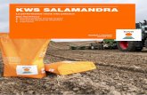 KWS SALAMANDRAKWS SALAMANDRA Comportement grain n KWS SALAMANDRA présente une très bonne productivité grain, supérieure aux principales références de marché. Synthèse grain