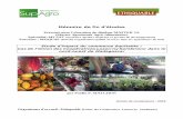 Mémoire de fin d'études - Le Cirad à Madagascar...Mémoire de fin d'études Présenté pour l'obtention du diplôme MASTER 3A (Master Agronomie Agro-Alimentaire) Spécialité: M2