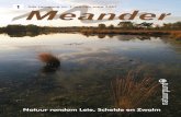 Meander - Natuurpunt Vlaamse Ardennen plus1 5de jaargang nr. 1 jan-feb-maa 2007 Meander MEANDER is het regionale contactblad voor de leden van de Natuurpuntafdelingen Schelde-Leie,