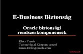 E-Business Biztonság · •RDS security hole in the Microsoft Internet Information Server (IIS) •Sendmail buffer overflow weaknesses, pipe attacks and MIMEbo, that allow immediate