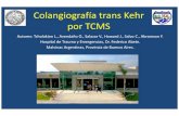 Colangiografía trans Kehr por TCMS · 2019-02-19 · Colangiografía trans Kehr por TCMS Autores: Tcholakian L., Avendaño O., Salazar V., Howard J., Salvo C., Abramzon F. Hospital