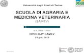 SCUOLA DI AGRARIA E MEDICINA VETERINARIA...2019/07/19  · Università degli Studi di Torino Scuola di Agraria e Medicina Veterinaria Superficie del Campus: circa 300.000 m 2 Strutture:
