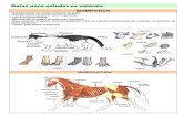 Guías para estudar os animais MAMÍFEROSa animais-mamíferos.… · Guías para estudar os animais MAMÍFEROS -Vertebrados, co corpo cuberto de pelo -Temperatura corporal autorregulada