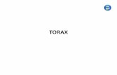 TORAX - Instituto digital€¦ · anatomia clinica . contenido •el contenido del torax se divide en 2 •el mediastino dado por todo lo que se encuentra entre ambas caras mediales