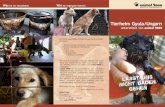 Tierheim Gyula/Ungarn€¦ · Tierheim Gyula/Ungarn unterstützt von animal 2000 Für unsere regelmäßigen Hilfsfahrten nach Gyula benötigen wir immer: - Handwerkszeug, Maschinen,