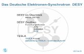 Das Deutsche Elektronen-Synchrotron DESY€¦ · Das Deutsche Elektronen-Synchrotron DESY DESY im Überblick HERA, PETRA DESY Zeuthen Forschungsthemen APE AMANDA PITZ TESLA TESLA