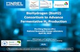 BioHydrogen (BioH2) Consortium to Advance Fermentative H2 ...€¦ · BioHydrogen (BioH2) Consortium to Advance Fermentative H 2 Production. Pin-Ching Maness (P.I.) National Renewable