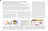 REPORTS Extensive Variation in Chromatin States Across Humanscompbio.mit.edu/publications/97_Kasowski_Science_13.pdf · Extensive Variation in Chromatin States Across Humans Maya