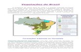 Vegetações do Brasil - fuvestibular.com.brfuvestibular.com.br/.../2-Vegetacao-do-Brasil-e-Hidrografia.pdf · raízes profundas e plantas xerófitas, com muitos espinhos e caules