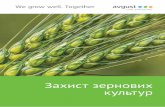 Захист зернових культур - Avgustua.avgust.com/i/cat/785/578ddbc427620_knyga_zernovi_pereglyad.pdf · 3 Ячмінь (Hordeum spp.) належить до родини