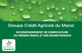 Groupe Crédit Agricole du Maroc - Reseau-far...Dawajine Pack Laachoub Pack Sukar Wa Zoyoute Pack Biofilaha Projets de valorisation des productions de l’agriculture biologique, Certification
