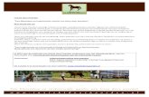 Inzicht door Paardeninzichtdoorpaarden.nl/wp-content/uploads/2012/10/...Inzicht door Paarden “Een bijzondere en inspirerende manier van leren door paarden.” Wat houdt het in? Inzicht