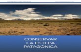 CONSERVAR LA ESTEPA PATAGÓNICA - Argentina Ambientalargentinambiental.com/wp-content/uploads/pdf/AA61-52-Conservar_… · las extensiones de la estancia tanto como del Parque. Argentina