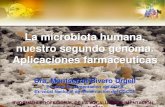 La microbiota humana, nuestro segundo genoma. Aplicaciones … · 2014-06-09 · humano excede en 100 veces el del genoma humano. Xu & Gordon, PNAS, 2003. La microbiota Humana. La