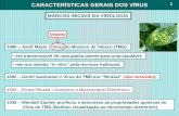 CARACTERÍSTICAS GERAIS DOS VÍRUS€¦ · Período de Incubação das Viroses Influenza 1-2 dias Dengue 5-8 dias Poliomielite 5-20 dias Sarampo 9-12 dias Varicela 13-17 dias Mononucleose
