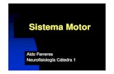 NF Sistema Motor 2013 - psi.uba.ar · Cerebelo Ganglios basales Guiado por inf. sensorial Propioceptiva Visual Vestibular. Cortezas motoras Tronco cerebral Ganglios Basales Tálamo
