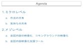 1.ミクロレベル メゾレベル - city.kusatsu.shiga.jp · Agenda 1.ミクロレベル a. 作法の共有 b. 気持ちの共有 2.メゾレベル a. 会話内容の映像化，コモングラウンドの映像化