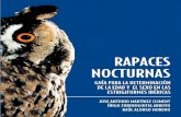 RAPACES NOCTURNASbrinzal.org/wp-content/uploads/2016/02/Capítulo-1... · 2020-01-13 · Estas aves han desarrollado caracteres anatómicos adaptados a la depre-dación. Resultan