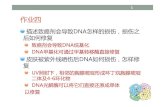 描述致癌剂会导致DNA怎样的损伤 损伤之怎样的损 …web.xidian.edu.cn/yqxia/files/20120925_093306.pdf2012/09/25  · 作业四 1 描述致癌剂会导致DNA怎样的损伤