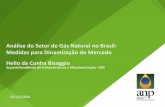 Análise do Setor de Gás Natural no Brasil: Medidas para ... · natural – período de 03/12/2018 a 17/01/2019; regras a serem adotadas pela ANP, em conjunto com o CADE/MJ e a SEFEL/MF,