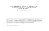 Biotransformations of Turpentine Constituents: Oxygenation and …9344/FULLTEXT01.pdf · 2005-03-17 · Lindmark-Henriksson Marica Biotransformations of Turpentine Constituents: Oxygenation