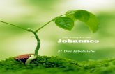 Sessie 1 - Bloemfontein Baptiste Kerkkerk.co.za/wp-content/uploads/2016/03/Johannes-Afr.pdf · Vir die grootste gedeelte van Johannes 5 praat Jesus met die Jode wat Hom kritiseer
