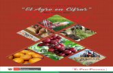 BOLETÍN ESTADÍSTICO MENSUAL “El Agro en Cifras”siea.minagri.gob.pe/siea/sites/default/files/boletin... · 2019-04-17 · DGESEP - DEA 5 Ministerio de Agricultura y Riego Boletín