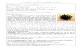 Magnetic Anisotropy of binary ferrofluids · Co-supervisors : Vincent Dupuis (PECSA), Philippe Ohresser (SOLEIL) Net salary : 1800 euros/month (36 months) Titre de la thèse: Magnetic