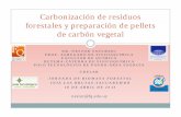 Carbonización de residuos forestales y preparación de ... · Diagramade flujo Residuos de aserradero PDT 47-08 (Eucalyptus grandis), Carbón vegetal presecados Pirólisis (horno
