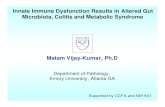 Innate Immune Dysfunction Results in Altered Gut Microbiota, …nas-sites.org/emergingscience/files/2011/05/Vijay-Kumar.pdf · Innate Immune Dysfunction Results in Altered Gut Microbiota,