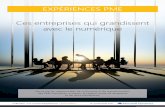 Ces entreprises qui grandissent avec le numériquedownload.microsoft.com/documents/France//TechDays/... · les PME françaises prévoient ainsi 7,8 milliards d’euros d’investissements