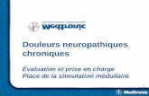 Douleurs neuropathiques chroniques€¦ · plan general 1- physiopathologie de la douleur 2- diagnostic et evaluation 3- prise en charge 4- techniques de stimulation 5- resultats