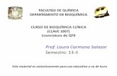 Prof. Laura Carmona Salazar Semestre: 13-IIdepa.fquim.unam.mx/amyd//archivero/Funcion... · Lo conforman la boca, faringe, esófago, estómago, intestino delgado y grueso. Además