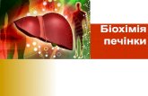 Біохімія печінки - biochem.vsmu.edu.uabiochem.vsmu.edu.ua/biochem_common_u/lect-16.pdf · Еритроцити живуть 120 ... Причини: переливання