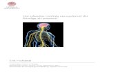 Hur påverkar centrala nervsystemet din förmåga att prestera?files.webb.uu.se/uploader/858/BIOKand-17-019-Hofstedt... · 2017-11-08 · Hur påverkar centrala nervsystemet din förmåga