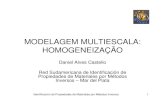 MODELAGEM MULTIESCALA: HOMOGENEIZAÇÃO · MODELAGEM MULTIESCALA: HOMOGENEIZAÇÃO Daniel Alves Castello Red Sudamericana de Identificación de Propiedades de Materiales por Métodos