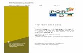 Manuale procedurale POR 2014-2020 2 - Padova...Programma Operativo Regionale (POR) "Competitività Regionale e Occupazione" - parte FESR 2014-2020 della Regione Veneto approvato dalla