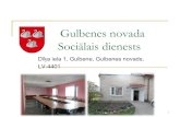 Gulbenes novada Sociālais dienestsms.lps.lv/wp-content/uploads/2015/05/Gulbenes-novada-sociālais-dienests.pdfGulbenes novada Sociālais dienests Dīķa iela 1, Gulbene, Gulbenes