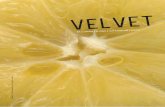 velvet 04 01-16velvetmornings.gr/photos/magazine/issues/velvet04.pdf · faces./04 david hockney Κ ά θ ε μ ή ν α o ι σ υ ν ε ρ γ ά τ ε ς τ ο υ V E L V E T σ