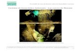 Turismo de humedales: Eslovenia – Las cuevas de …...Un estudio de caso de Ramsar sobre los humedales y turismo Las cuevas de Škocjan no sólo son uno de los tres Sitios Ramsar