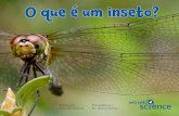 O que é um inseto?...3 Em um dia quente e ensolarado, é possível que você veja uma libélula no seu jardim. Uma libélula é um inseto. Uma borboleta também é um inseto. O que