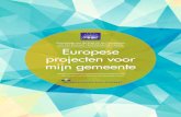 van het Brussels Hoofdstedelijk Gewest Europese projecten ...€¦ · van Europese projecten. Deze brochure beantwoordt aan 2 doelstellingen: toelichting geven bij de samenstelling