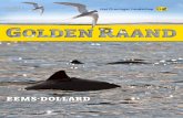 EEMS-DOLLARD - Het Groninger Landschap · 2020-05-01 · De EemsDollard leeft: van microscopisch kleine kiezelwieren, tot tientallen vissoorten, zeehonden en bruinvissen. Ontelbare
