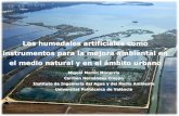 Los humedales artificiales como instrumentos para la ...€¦ · mal “funcionamiento” (mal diseño). La depuración en España (III) • Aprobación de la Directiva 91/271. ...