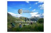 Qu'est ce que...- Permaculture one - Permaculture: principles & pathways beyond sustainability - Trees on the treeless plains - Future scenarios - Permaculture One - Permaculture two
