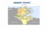 Тунис - PEGAS T › pic › hedit › File › manual_tunisia2016.pdf · Активная анимация. Есть мини-клуб. Шезлонги, зонтики, матрасы