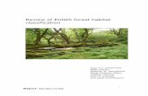 Review of EUNIS forest habitat classification...Habitat Classification and the European Forest Types classification, as part of the current review of information relating to habitat